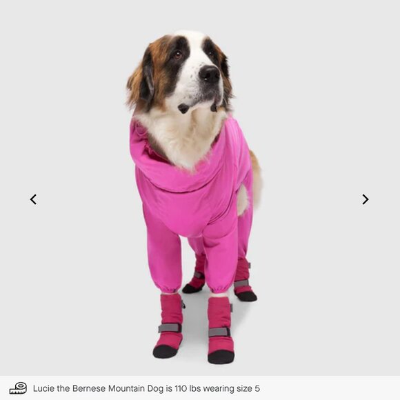 NWT, Canada Pooch Soft Shield Boots for Dogs, Water-resistant, Hot Pink, Size 4 - Picture 4 of 16